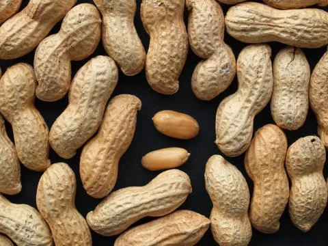 Peanut Stock Photos