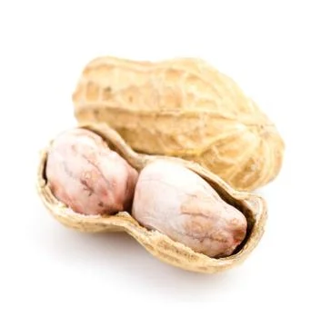 Peanut Stock Photos