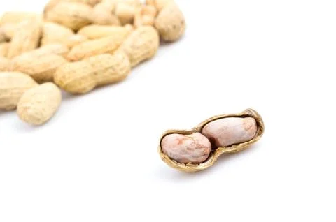 Peanut 스톡 사진