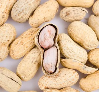 Peanut 스톡 사진
