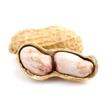 Peanut 스톡 사진