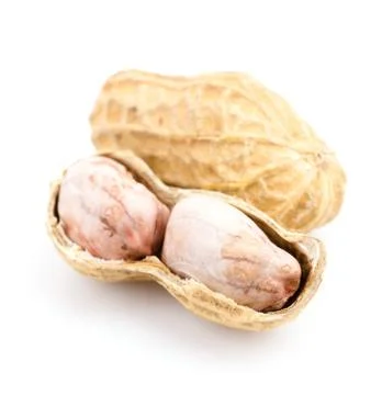 Peanut Stock Photos