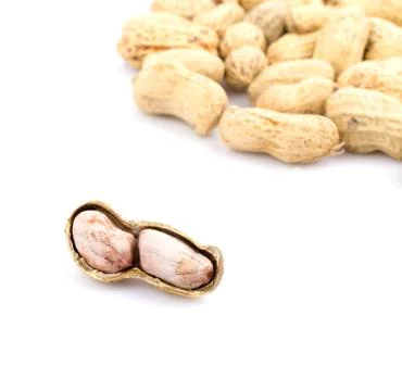 Peanut Stock Photos