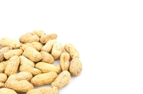Peanut 스톡 사진