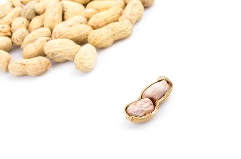 Peanut 스톡 사진