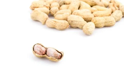 Peanut 스톡 사진