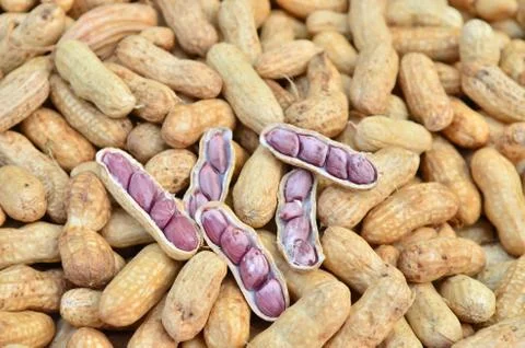 Peanut Stock Photos