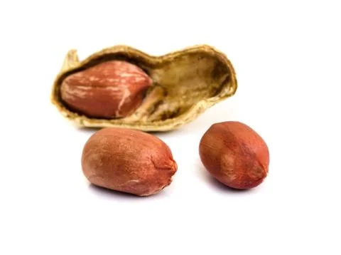 Peanut . Stock Photos