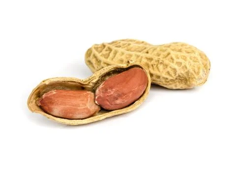 Peanut . Stock Photos