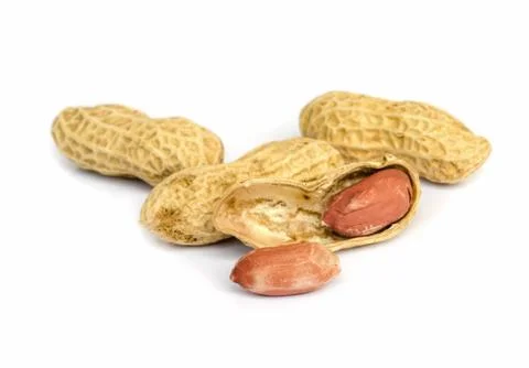 Peanut . 写真素材