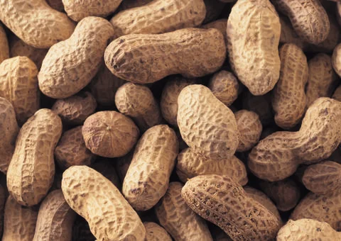 Peanut Stock Photos