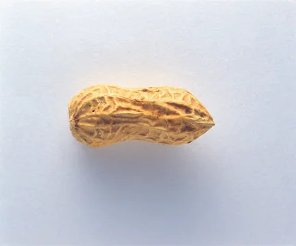 Peanut Stock Photos