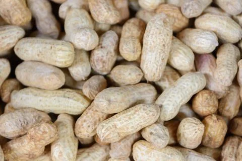 Peanut Stock Photos