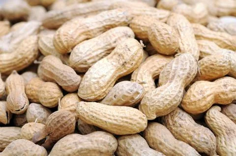 Peanut Stock Photos
