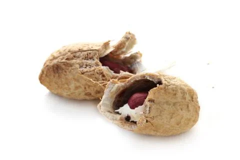 Peanut Stock Photos