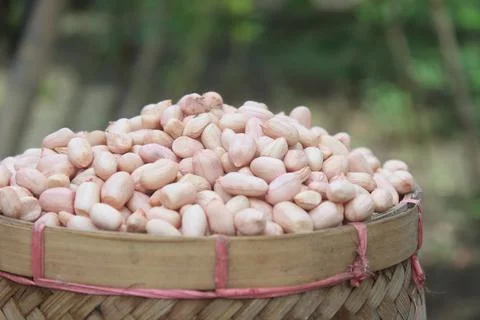 Peanut Stock Photos
