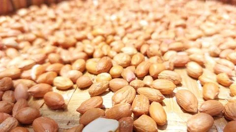 The peanut Stock Photos