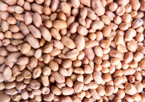 The peanut Stock Photos