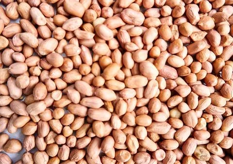 The peanut Stock Photos