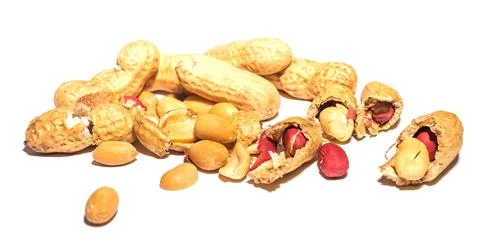 Peanut Stock Photos