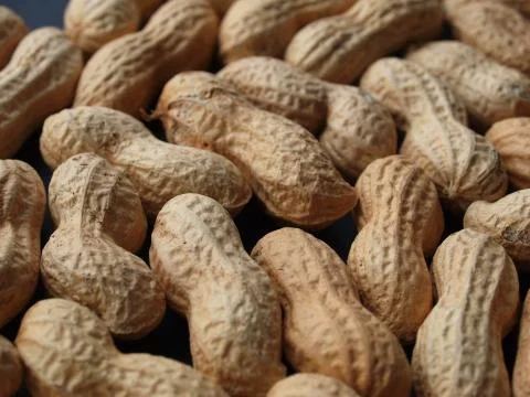 Peanut picture Stock Photos