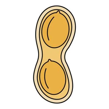 Peanut pod with two nuts inside illustration Stock Illustration