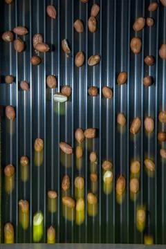 Peanut process industry brazil Foto stock