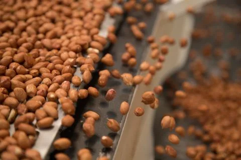 Peanut process industry brazil Foto stock
