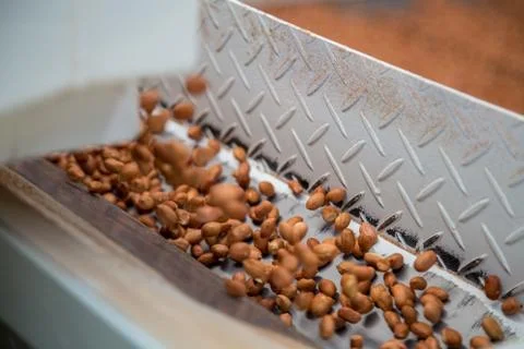Peanut process industry brazil Stock Photos
