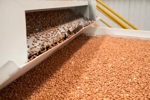 Peanut process industry brazil Stock Photos