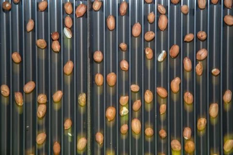 Peanut process industry brazil Stock Photos