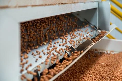 Peanut process industry brazil Stock Photos