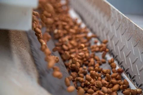 Peanut process industry brazil Foto stock