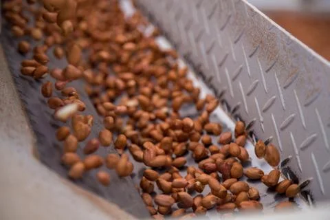 Peanut process industry brazil Fotos de archivo