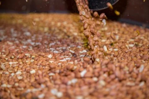 Peanut process industry brazil Foto stock