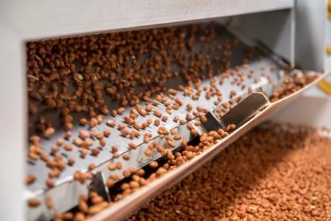 Peanut process industry brazil Fotos de archivo