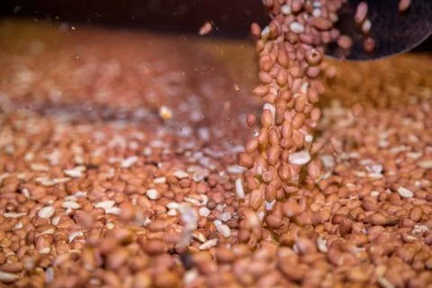 Peanut process industry brazil Stock Photos