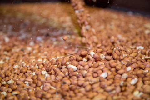 Peanut process industry brazil Stock Photos