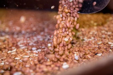 Peanut process industry brazil Fotos de archivo