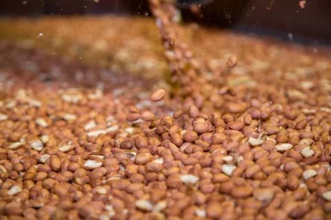 Peanut process industry brazil Foto stock