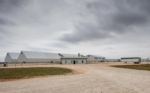 Peanut Processing Plant at Seagraves, Texas Fotos de archivo