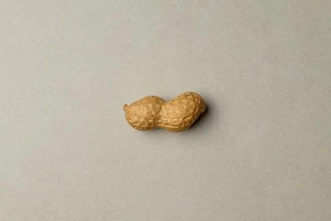 Peanut resting gently on a smooth gray surface, showcasing its natural shape Stock Photos