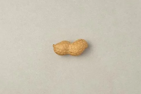 Peanut resting peacefully on a simple surface, showcasing its natural texture Stock Photos