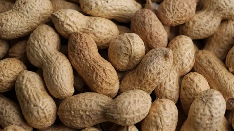 The peanut rotates. Stock Footage 252986464
