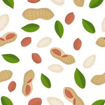 Peanut Seamless Pattern Vector in Flat Design Stock Illustration