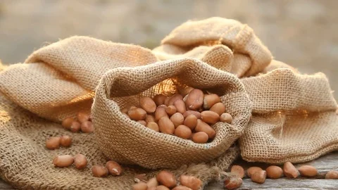 Peanut seed Stock Footage 79670231