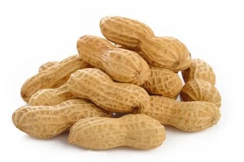 Peanut seed Stock Photos