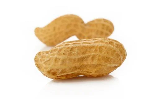 Peanut seed Stock Photos
