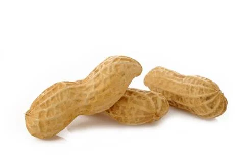 Peanut seed Stock Photos