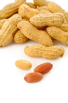 Peanut seed Stock Photos